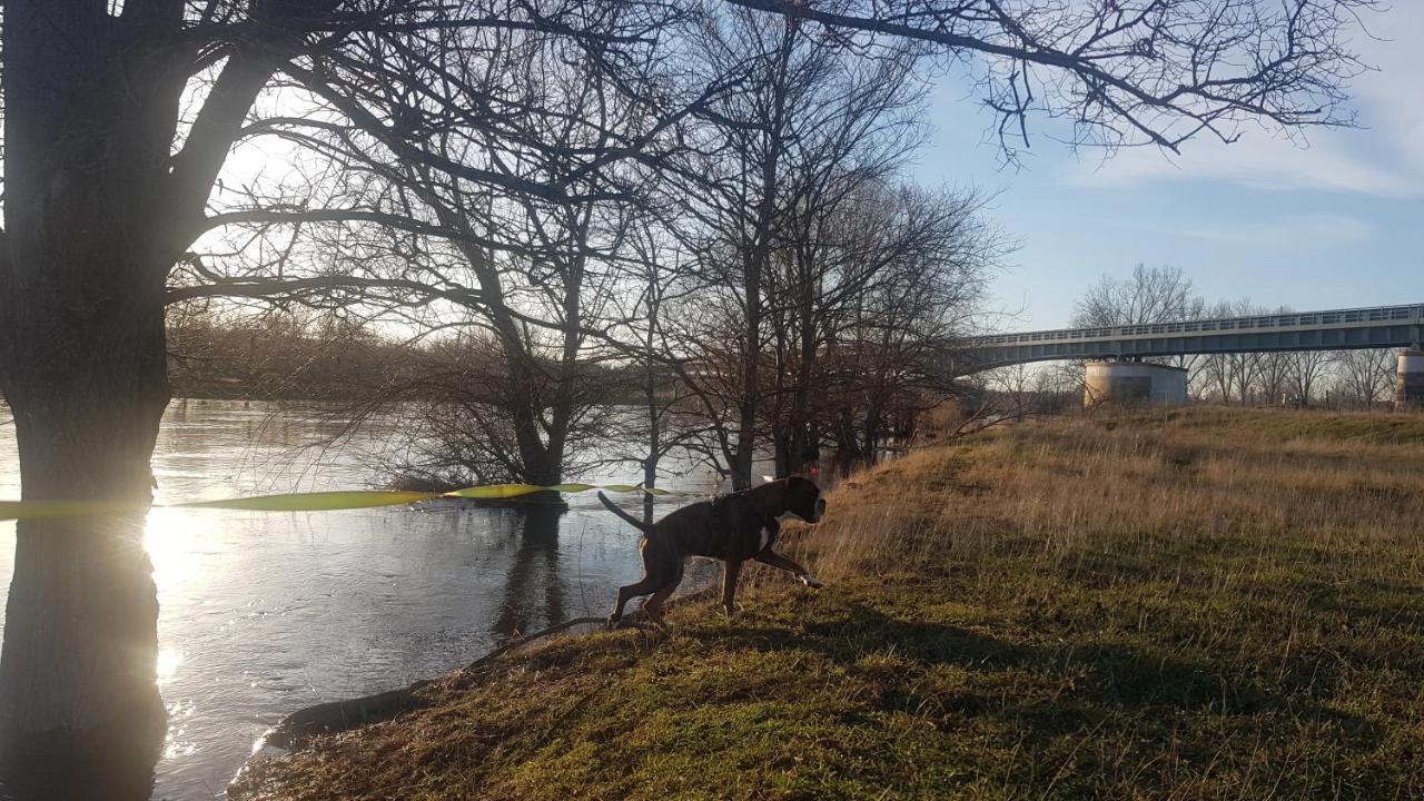 Zimmervermietung Zahn Baalberge Exteriör bild