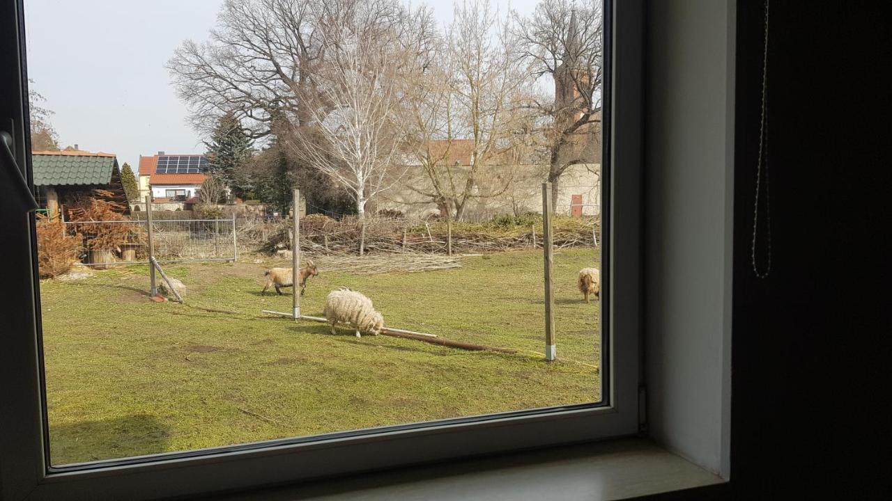 Zimmervermietung Zahn Baalberge Exteriör bild
