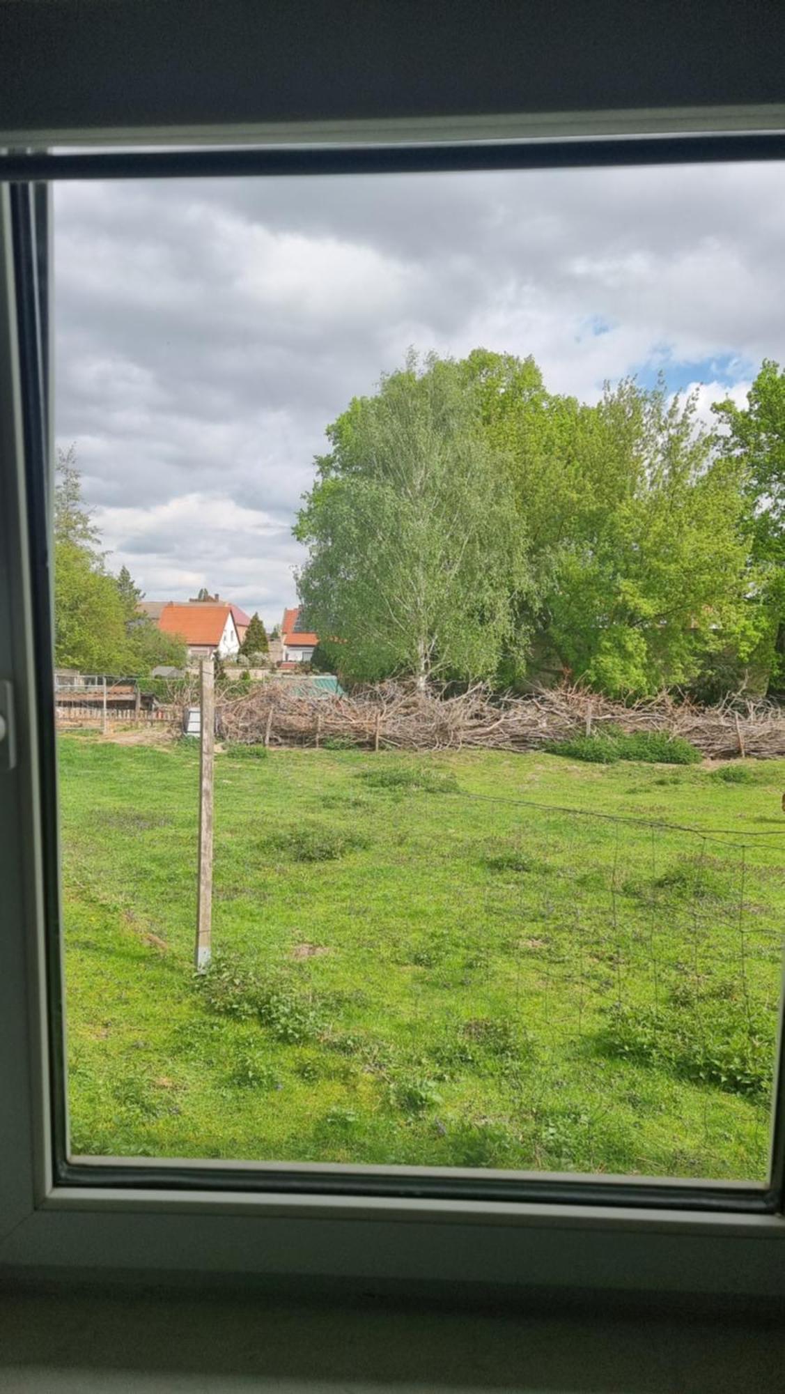 Zimmervermietung Zahn Baalberge Exteriör bild